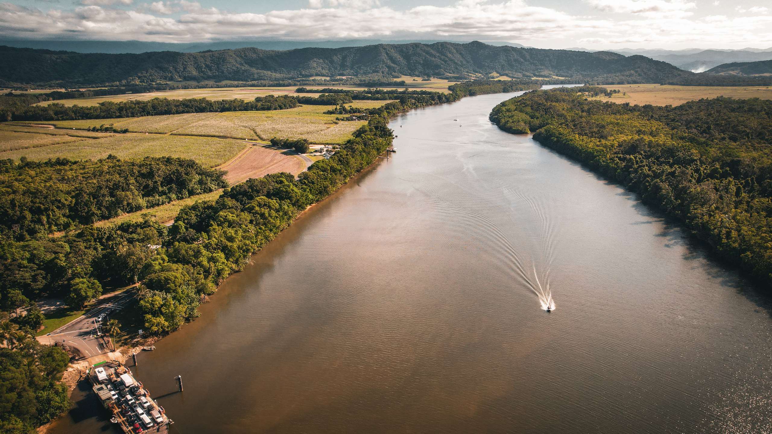 crocodile tour daintree river