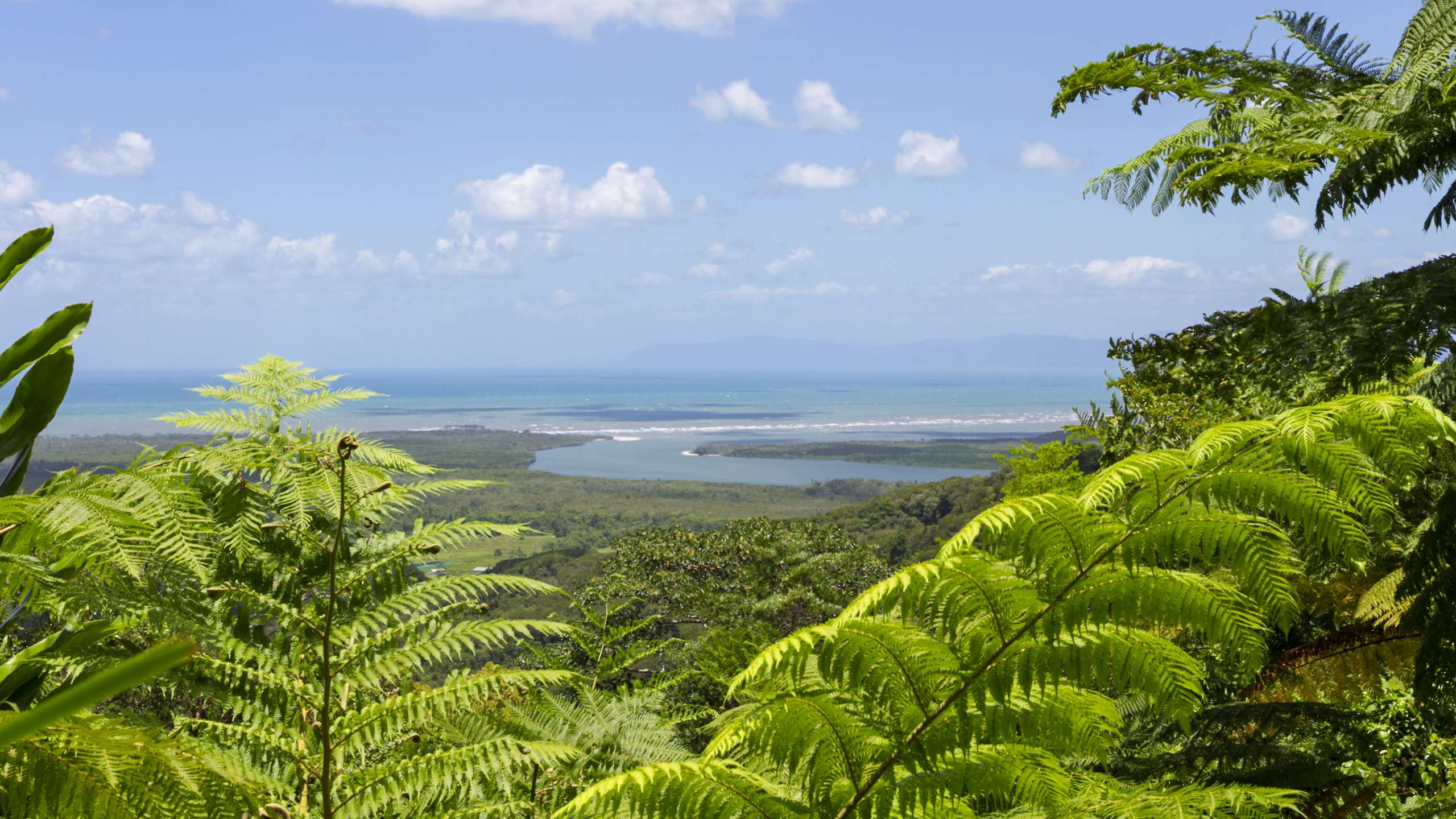 spotting crocodiles daintree river