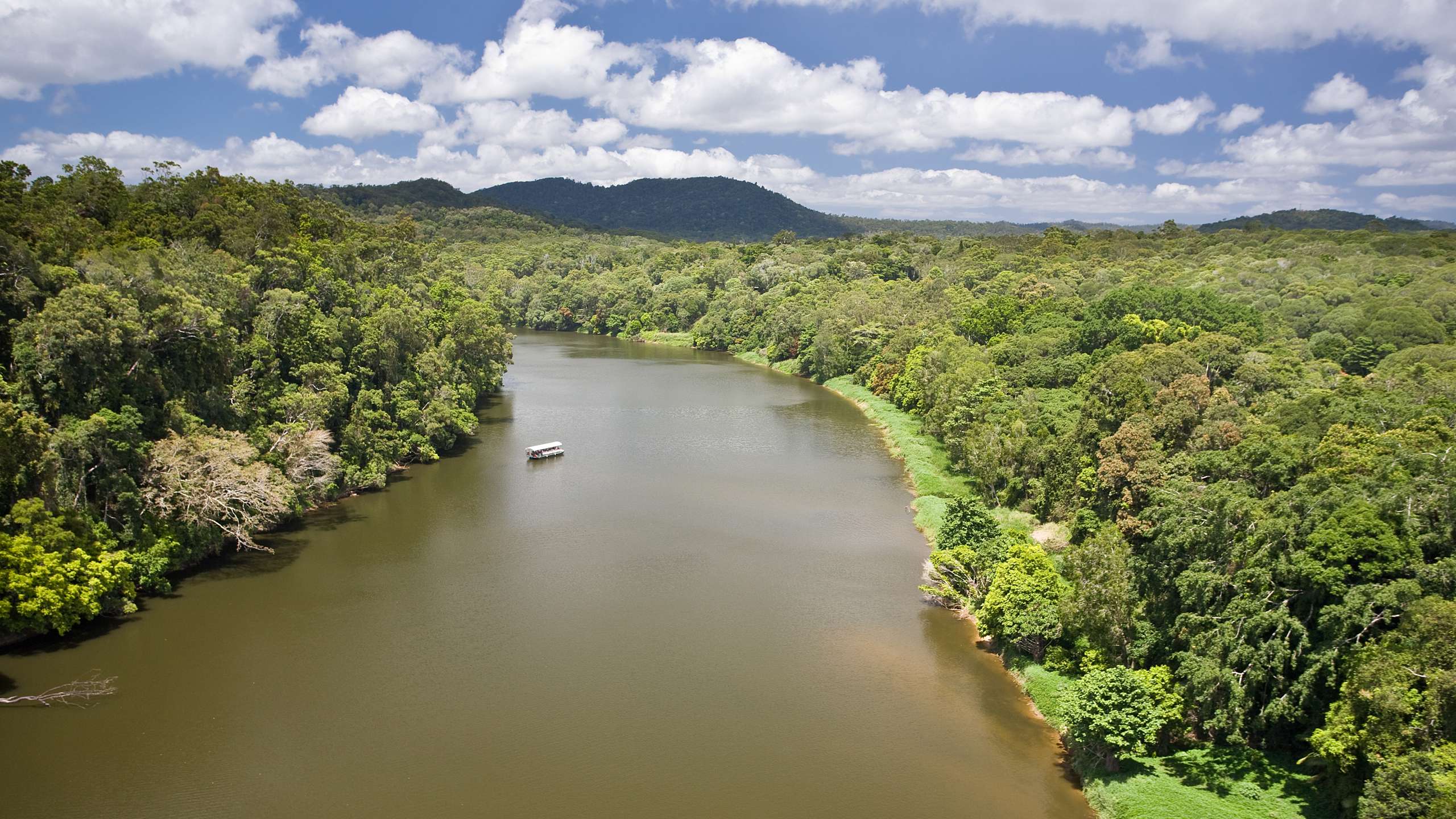 daintree river activities