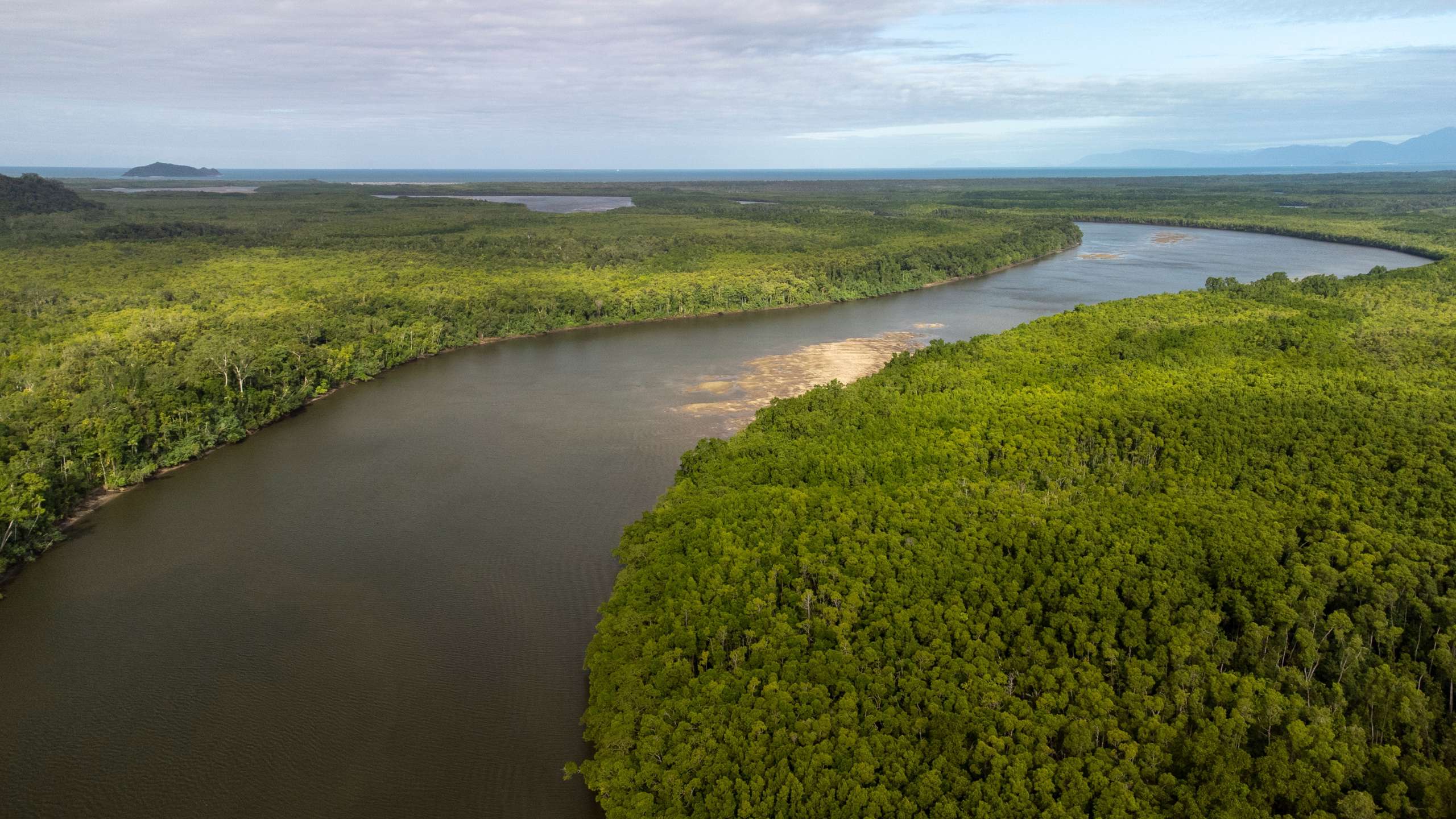 daintree river tour